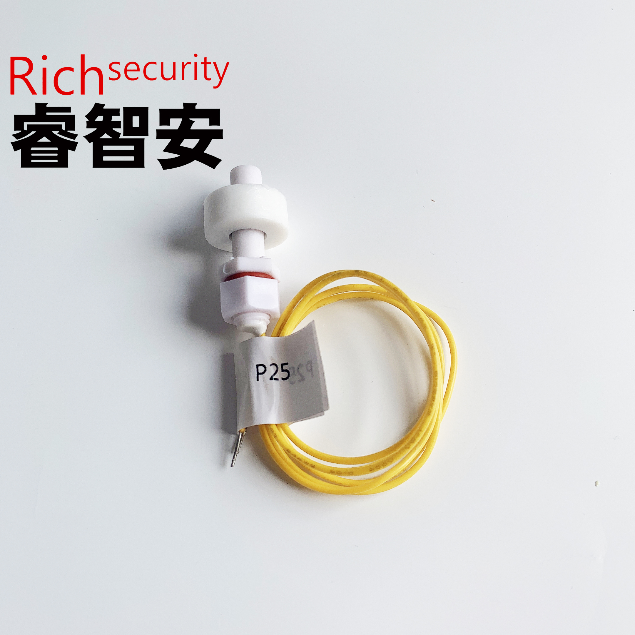 P25 液位傳感器 浮球開關(guān)